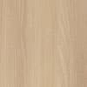 Акация Лорка