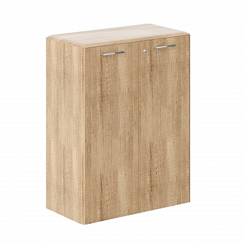 ШКАФ С ГЛУХИМИ СРЕДНИМИ ДВЕРЬМИ С ЗАМКОМ DMC 85.1(Z) (850*430*1165)