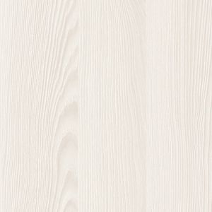 Ясень снежный