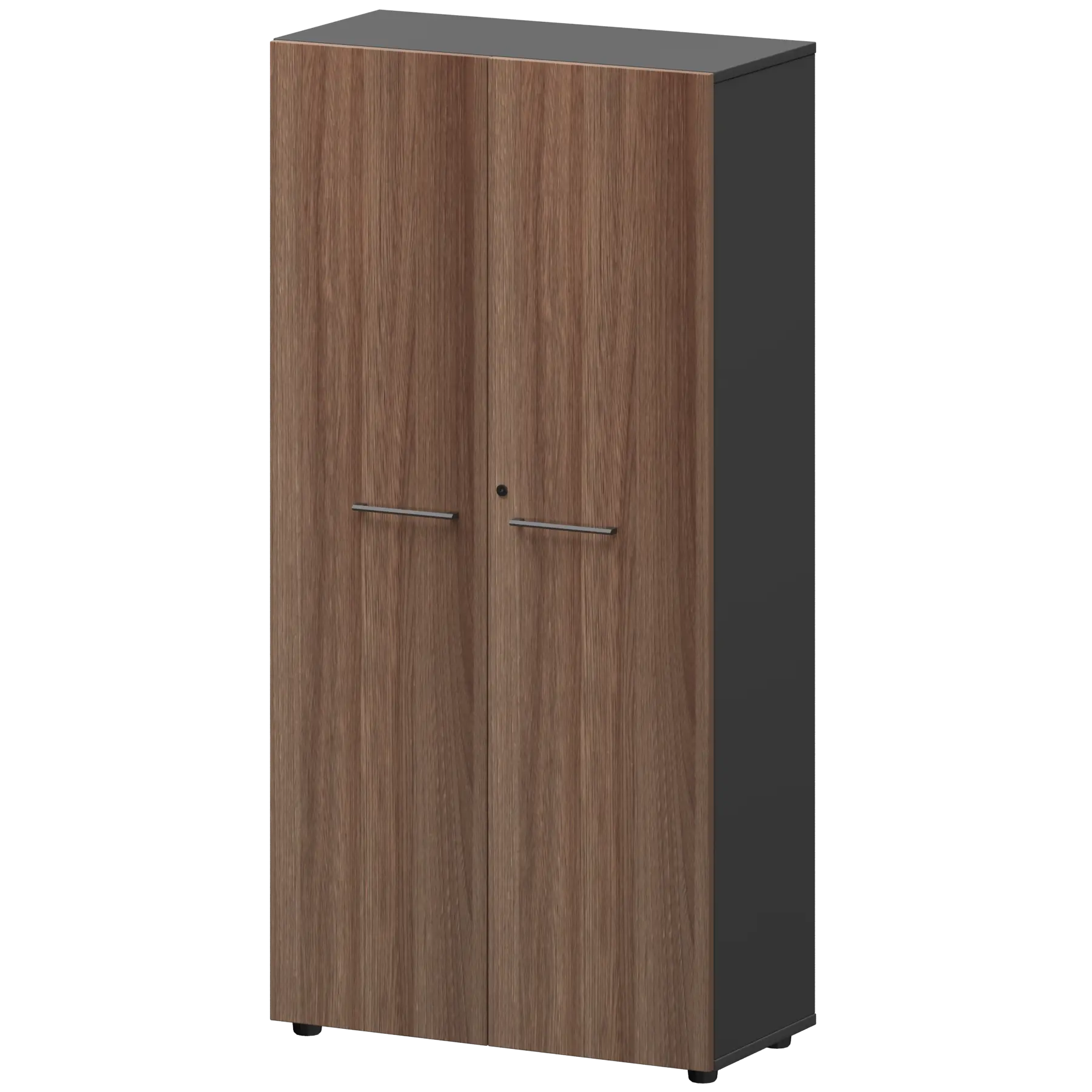 Шкаф высокий закрытый СМШ48F Темный шимо/Графит 792x380x1595 Кортез