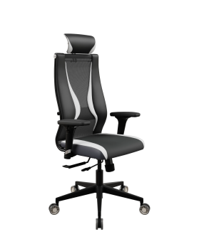 Кресло SynchroSit 10 B2-170D - Italy+UMF(SY271)+Extra /Kb38/Wh09/D02P/H13mL-Pf-1DF(M18.B11.G19.W31)